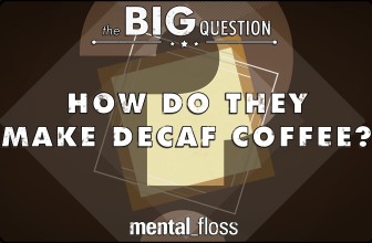 How Do They Make Decaf Coffee? – The Big Question – (Ep.1)