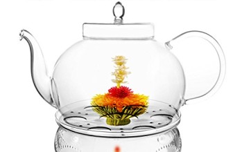 Tea Beyond Tea Services Teapot Polo 45 Oz / 1330 Ml and Glass Tea Warmer Wave Large